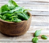 Spinach Baby 5Oz A&V Org.
