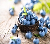 Blueberries Pint Organic