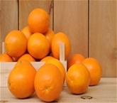 Oranges Navel