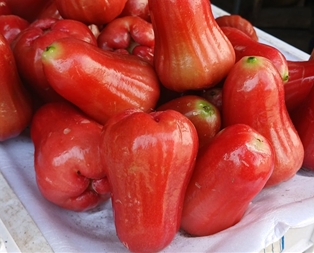 Lucy Rose Apples