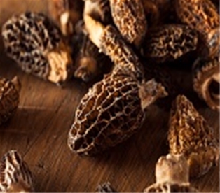 Mushrooms Morels