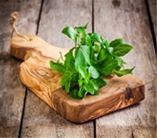 Basil Fresh