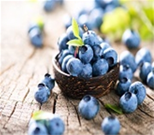 Blueberries Organic Driscoll  (1 pt)