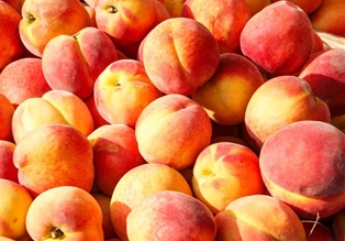 Peaches White Tree Ripe
