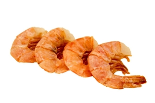 Fresh Wild Jumbo USA Gulf Shell on Shrimp